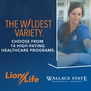 Wallace_Lion-Life-23_Social_Healthcare
